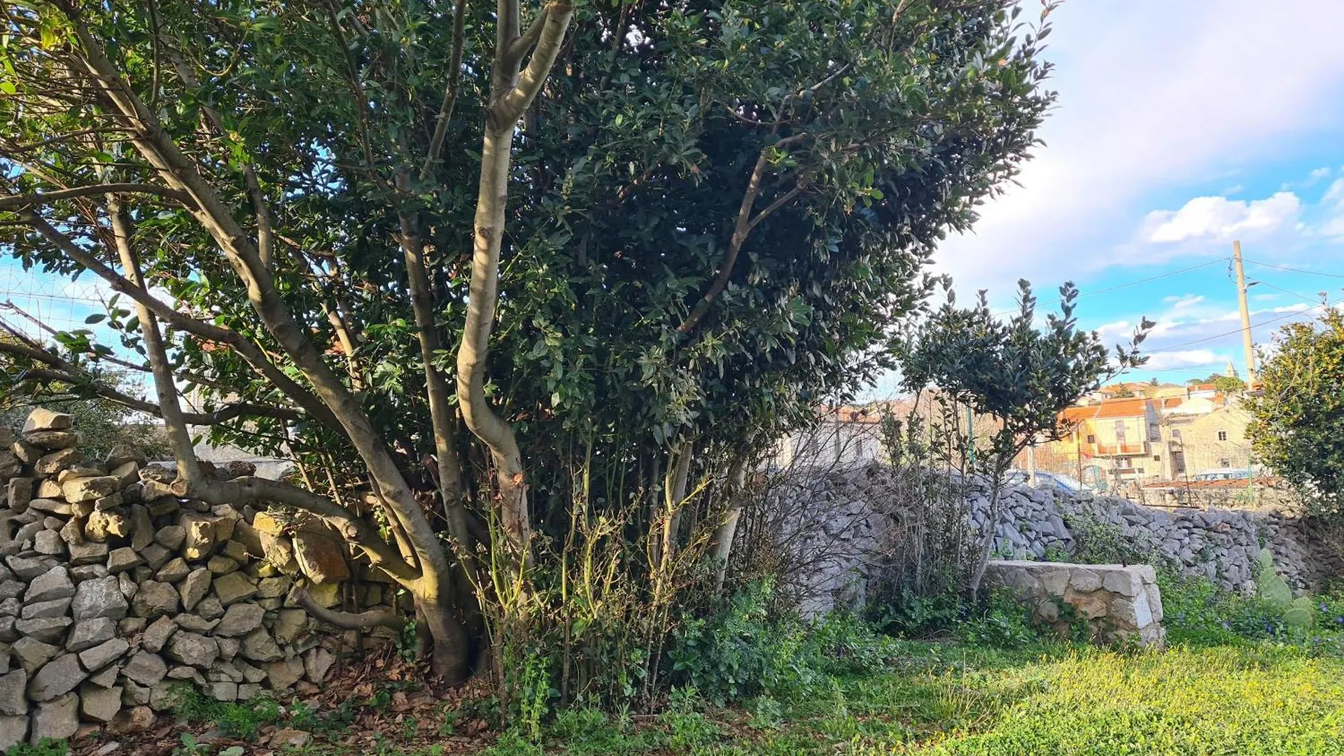 Appartamento Tiny House Laurus - Stivan, Cres - 900 M To Merascica Beach