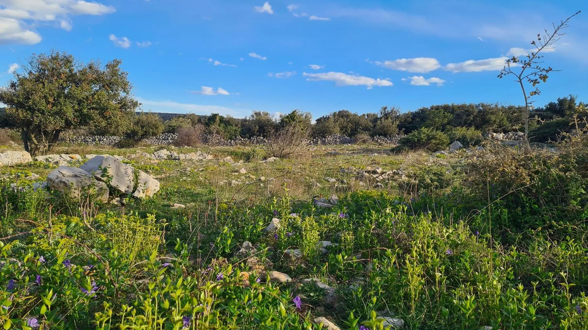 Tiny House Laurus - Stivan, Cres - 900 M To Merascica Beach Croazia